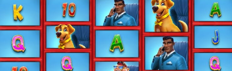 bet9j shop
